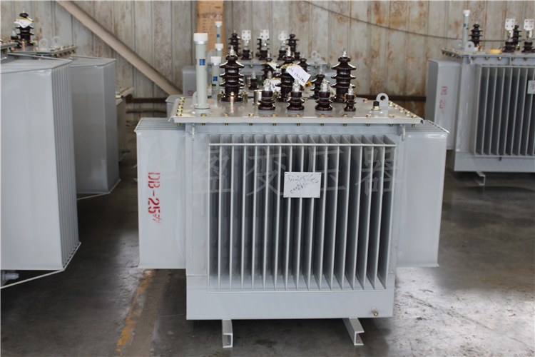 海口S20-800kVA/10kV/0.4kV变压器